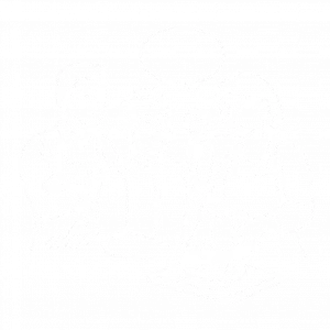 Icone club cagette 4