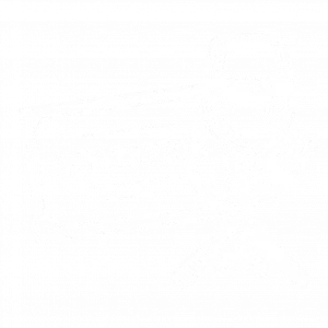 Icone club cagettes 3